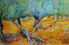 Olivenbaum Mallorca. Öl. 60 x 90